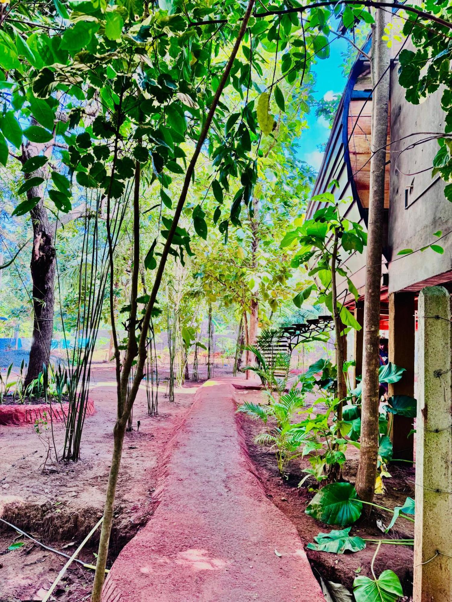 Woodland Sanctuary Ξενοδοχείο Habarana Εξωτερικό φωτογραφία